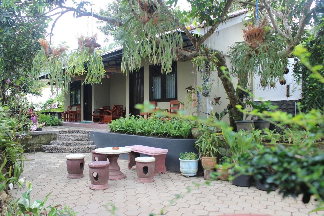 Banyu Homestay Banyuwangi (East Java) Exterior foto