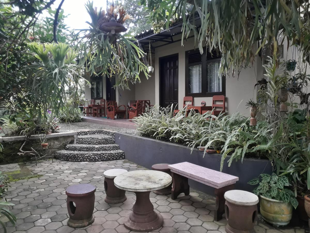 Banyu Homestay Banyuwangi (East Java) Exterior foto