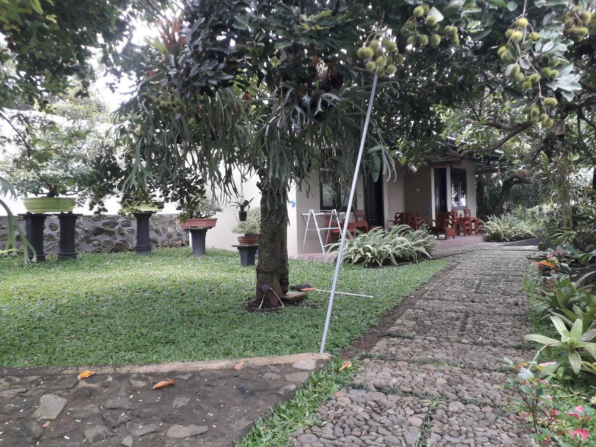 Banyu Homestay Banyuwangi (East Java) Exterior foto