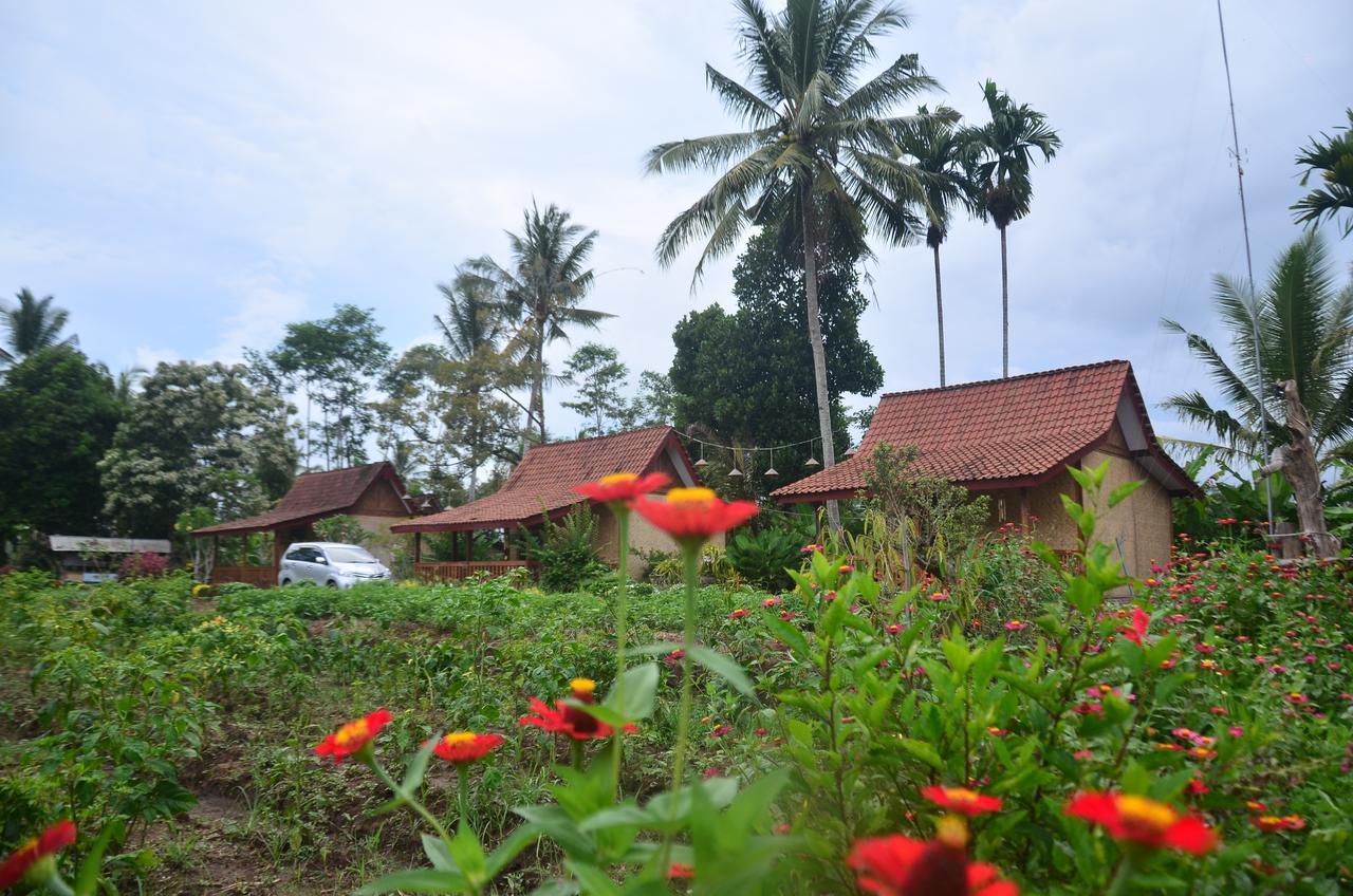 Banyu Homestay Banyuwangi (East Java) Exterior foto