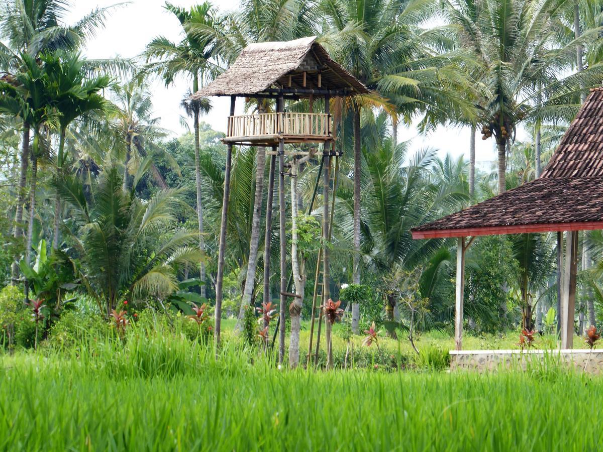 Banyu Homestay Banyuwangi (East Java) Exterior foto