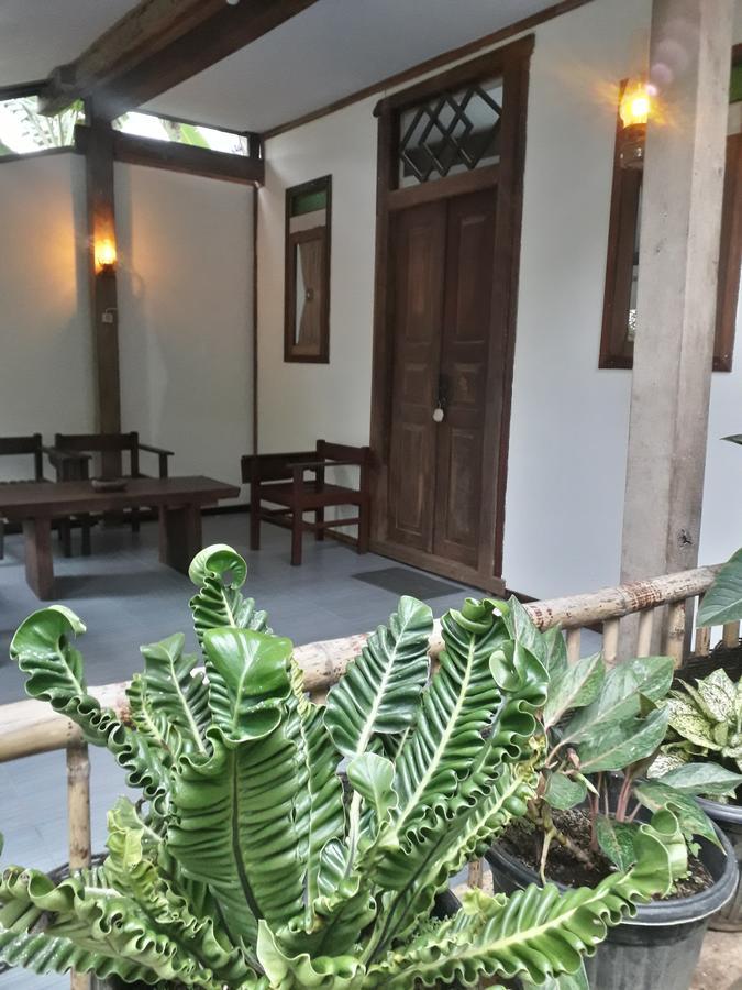 Banyu Homestay Banyuwangi (East Java) Exterior foto