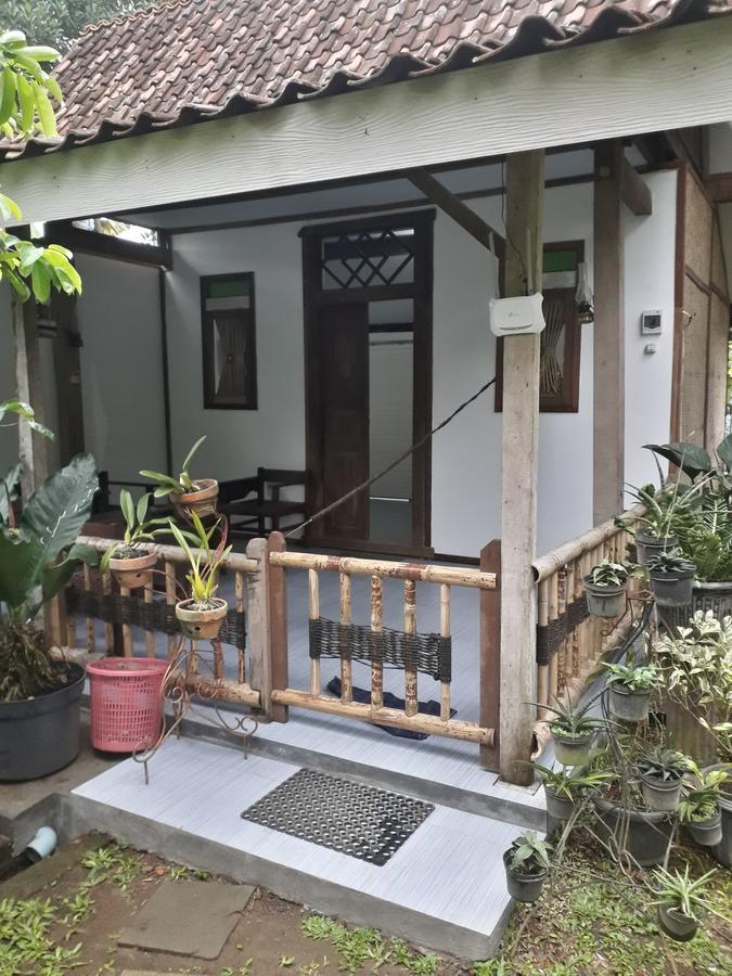 Banyu Homestay Banyuwangi (East Java) Exterior foto